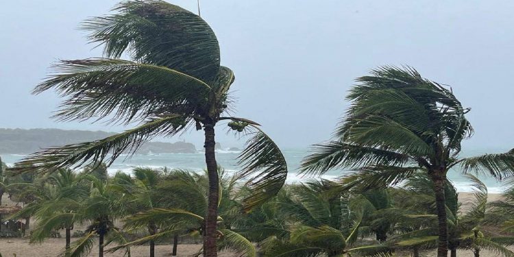 Kay Kasırgası Meksika’da karaya vurdu: 2 bin 595 kişi tahliye edildi