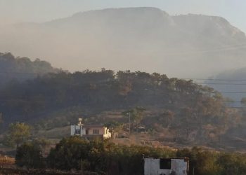 Mersin ve Alanya'da orman yangınları