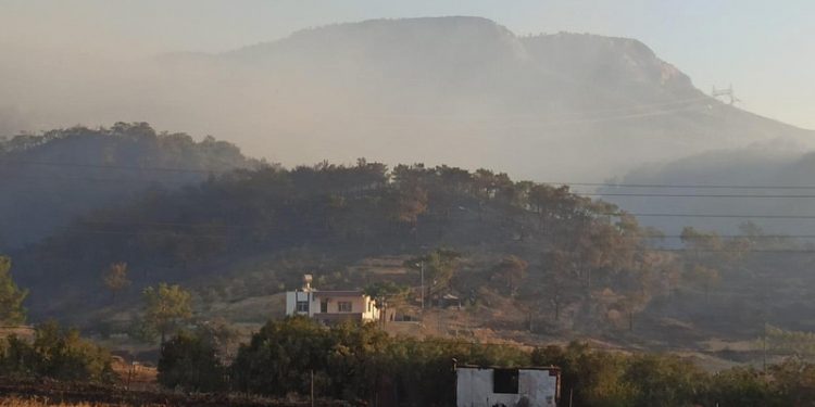 Mersin ve Alanya'da orman yangınları