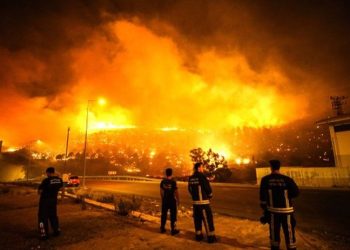 Mersin'deki orman yangınına müdahale sürüyor: 790 kişi tahliye edildi