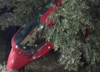 Motoru arızalanan gyrocopter, zeytinlikteki ağaçlara çarparak durabildi