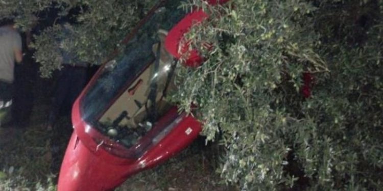 Motoru arızalanan gyrocopter, zeytinlikteki ağaçlara çarparak durabildi