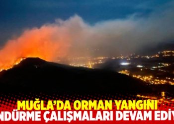 Muğla G&ouml;kova'daki orman yangını devam ediyor