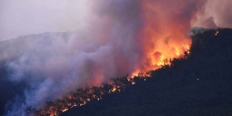 Muğla’da orman yangını sürüyor