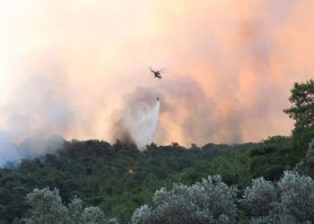 Muğla'daki orman yangını kontrol altına alındı