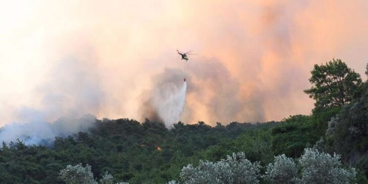 Muğla'daki orman yangını kontrol altına alındı