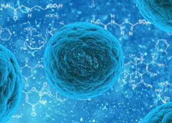 New York’ta çocuk felci virüsü sebebiyle 'olağanüstü hal' ilan edildi