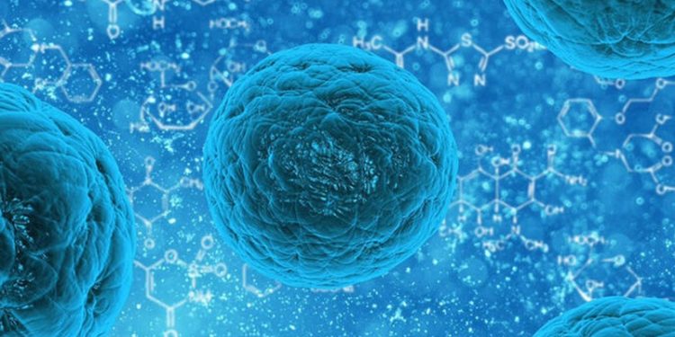 New York’ta çocuk felci virüsü sebebiyle 'olağanüstü hal' ilan edildi