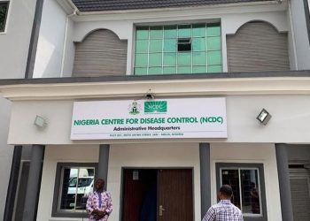 Nijerya'da Lassa ateşi salgını: Vaka sayısı 917'ye yükseldi