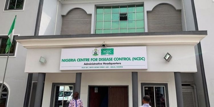 Nijerya'da Lassa ateşi salgını: Vaka sayısı 917'ye yükseldi