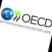 OECD Türkiye için 2022 büyüme tahminini yükseltti