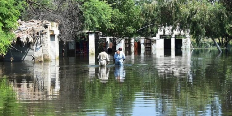 Pakistan Senato Üyesi, iklim felaketleri için zengin ülkelerin sorumluluk alması gerektiğini vurguladı