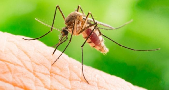 Pakistan’da dang humması alarmı: Haftada 30 kişi ölüyor