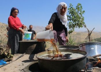 Pekmez kazanları kaynamaya başladı