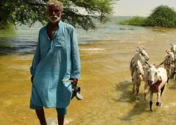 P﻿akistan'da seller ülkenin ekonomisini zorluyor, yardım çağrıları yükseliyor