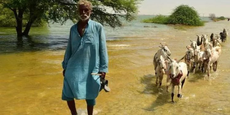 P﻿akistan'da seller ülkenin ekonomisini zorluyor, yardım çağrıları yükseliyor