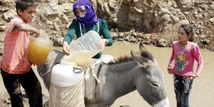 Şanlıurfa’da milyon dolarlık proje çöktü, köylüler eşeklerle su taşıyor