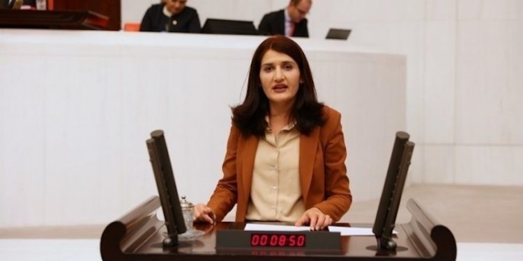 'Semra Güzel’in tutuklanması organize bir seçim çalışması'