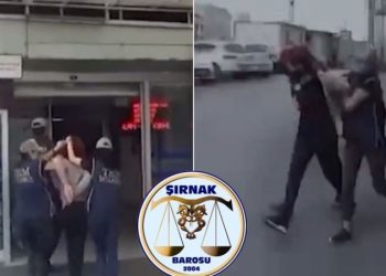 Şırnak Barosu'ndan Semra Güzel açıklaması: Soruşturma başlatılsın