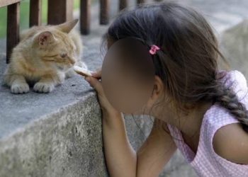 Site yönetimi, çocuğun kedilere su vermesine ceza kesti: Ortak alan ihlali!