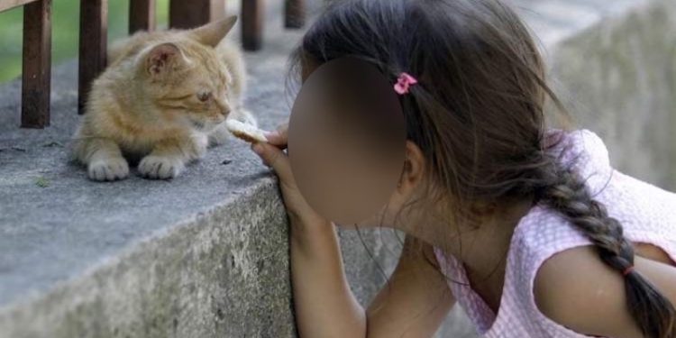 Site yönetimi, çocuğun kedilere su vermesine ceza kesti: Ortak alan ihlali!