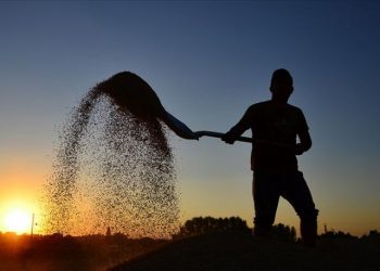Son dakika: Tarımsal girdi enflasyonunda yükseliş sürüyor!
