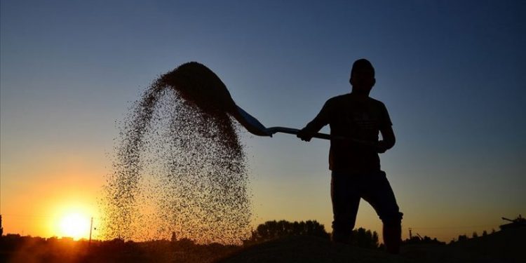 Son dakika: Tarımsal girdi enflasyonunda yükseliş sürüyor!