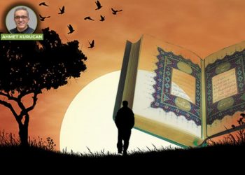 Sorunları çözme ve/ya çözüme katkı sunma 