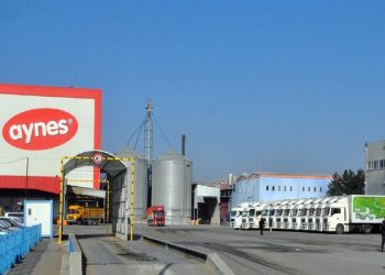 TMSF, değeri 3,6 milyar lira olan Aynes Gıda’yı 758 milyon liraya peşkeş çekti