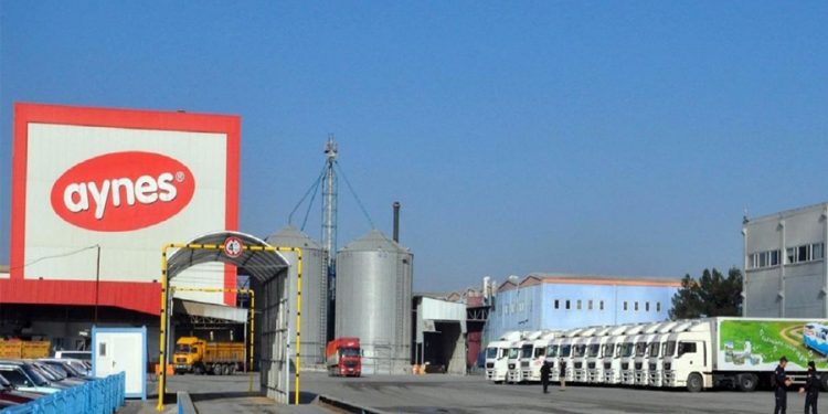 TMSF, değeri 3,6 milyar lira olan Aynes Gıda’yı 758 milyon liraya peşkeş çekti