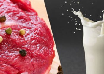 TÜSEDAD Başkanı: Ekim-kasım ayında hem ete hem süte en az yüzde 30-35 zam gelecek