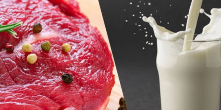 TÜSEDAD Başkanı: Ekim-kasım ayında hem ete hem süte en az yüzde 30-35 zam gelecek