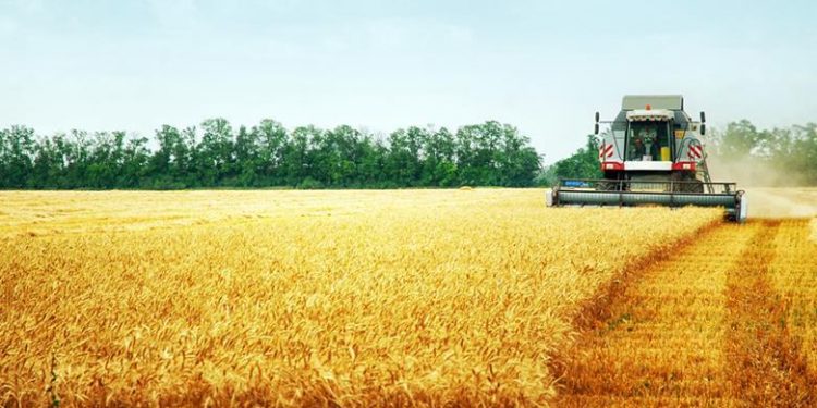 Tarla satışında rekor artış