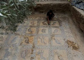 Tarlada Bizans dönemi mozaikleri bulundu