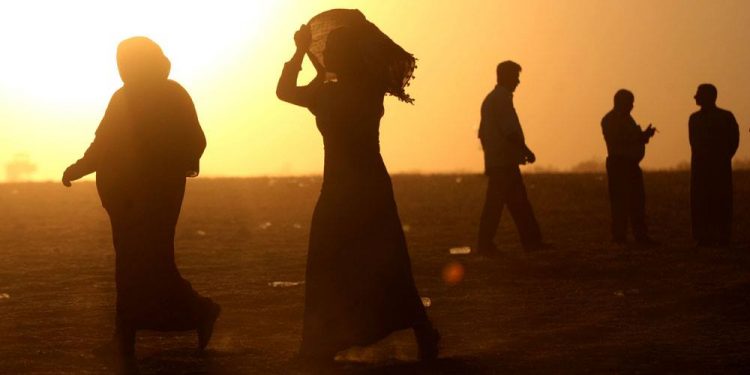 Telegram’da kaçış planı: Suriyeliler Türkiye’den Avrupa’ya gitmek için konvoy hazırlıyor