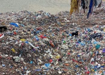 Trabzon'da çöp tesisinde bebek cesedi bulundu