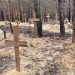 Ukrayna’nın kontrolüne geçen İzyum’da toplu mezar bulundu