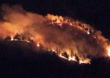 Uşak'taki orman yangını kontrol altına alındı