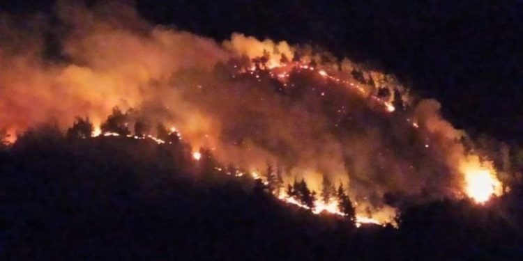 Uşak'taki orman yangını kontrol altına alındı