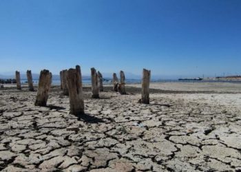 Van Gölü kuruyor: 100 yıllık balıkçı iskelesi ortaya çıktı