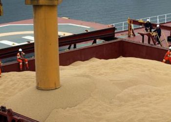 Veriler Putin'in tahıl koridoru eleştirisini desteklemiyor