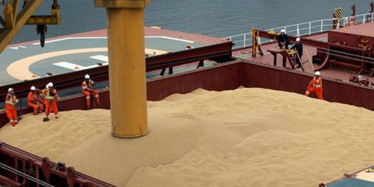 Veriler Putin'in tahıl koridoru eleştirisini desteklemiyor