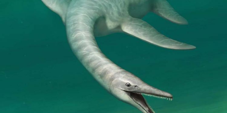 'Yılan vücutlu timsah suratlı deniz canavarı' keşfedildi