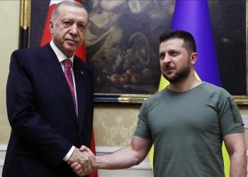 Zelenskiy ile görüşen Erdoğan: Tek taraflı referandumlar diplomasiyi zora sokar