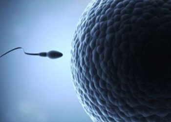 26 yıl önce dondurulmuş spermle dünyaya gelen 'mucize bebek' tartışma yarattı: "Olası bir durumda asırlık sperm de kullanılabilir mi?"