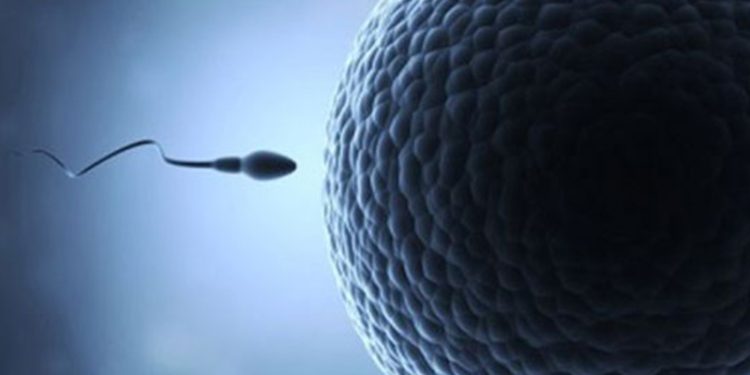 26 yıl önce dondurulmuş spermle dünyaya gelen 'mucize bebek' tartışma yarattı: "Olası bir durumda asırlık sperm de kullanılabilir mi?"