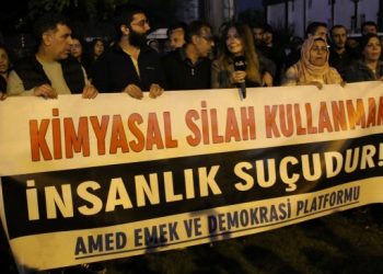 Amed Emek ve Demokrasi Platformu: İnsanlık suçuna karşı adım atılsın
