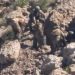 Kimyasal silaha maruz kalan 2 HPG’linin görüntüsü yayınlandı