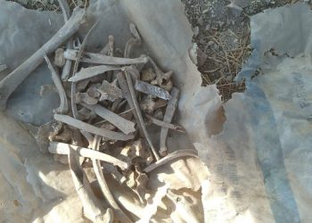 Hilvan’da poşet içinde kemikler bulundu