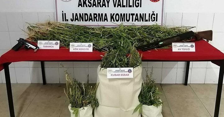 Arazisinde kenevir bulunan AKP’li belediye meclis üyesi gözaltına alındı